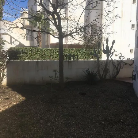 La Jacaranda *