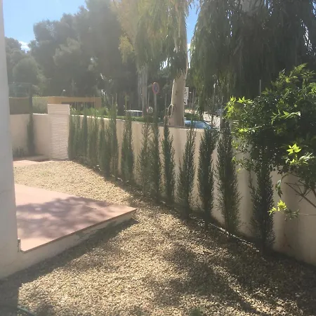 La Jacaranda Vera