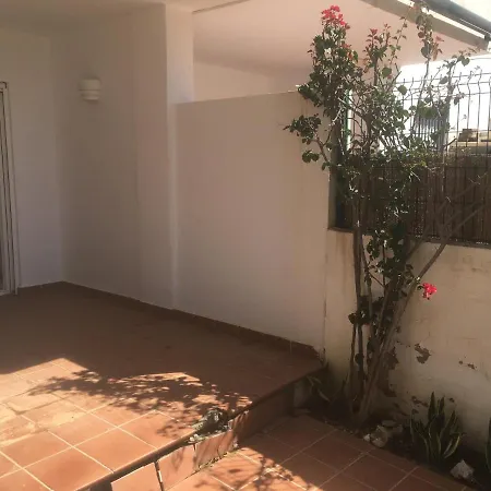 La Jacaranda *